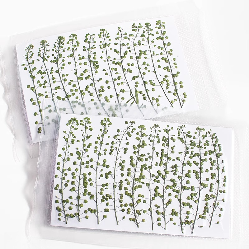 Cloche verte de couleur nature - Photo Frame Baby avis et prix