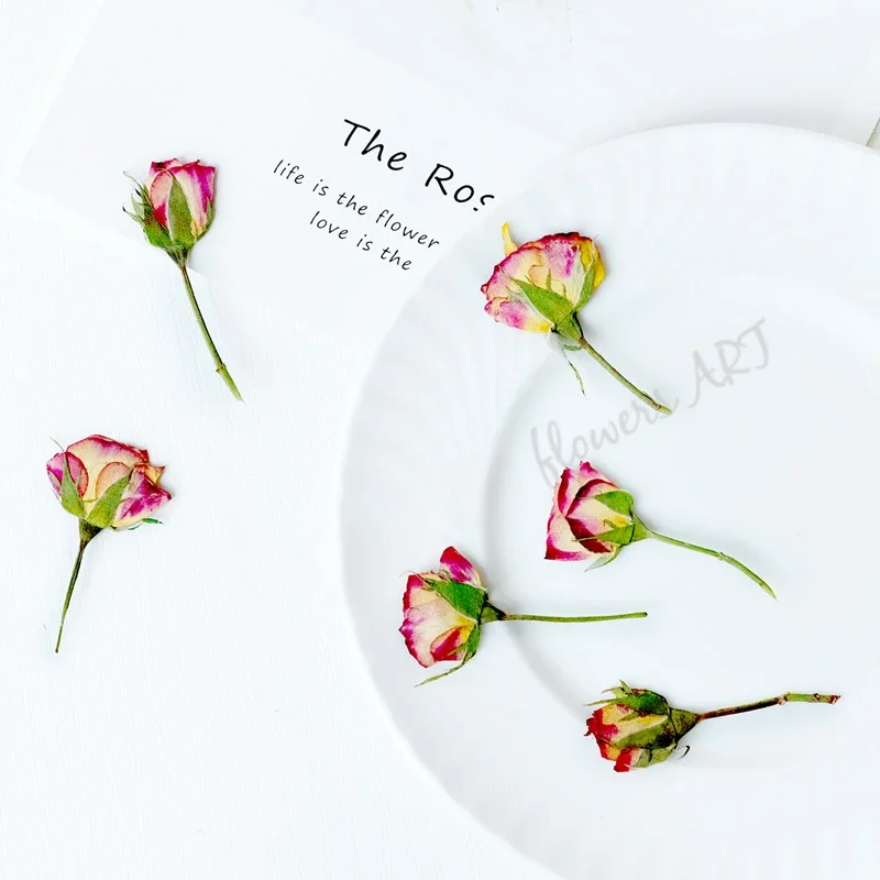 Pétales de rose pressés, fleur - Photo Frame Baby avis et prix