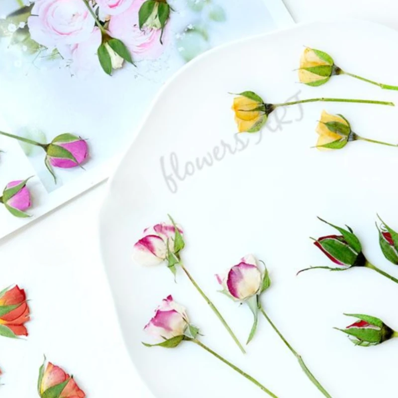 Pétales de rose pressés, fleur - Photo Frame Baby avis et prix