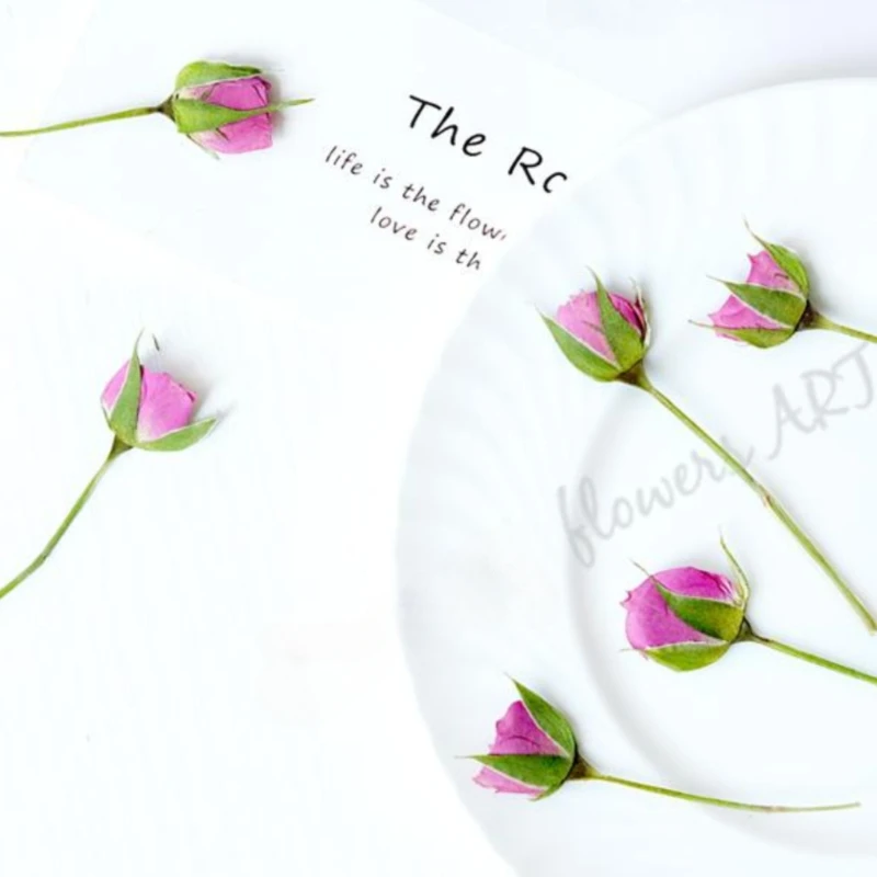 Pétales de rose pressés, fleur - Photo Frame Baby avis et prix