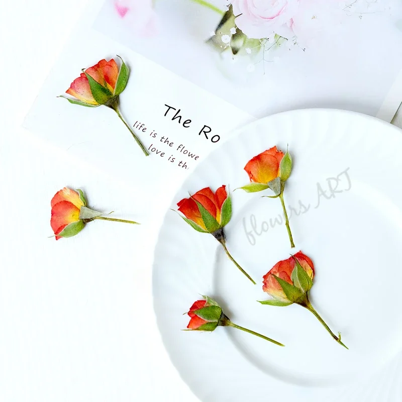 Pétales de rose pressés, fleur - Photo Frame Baby avis et prix