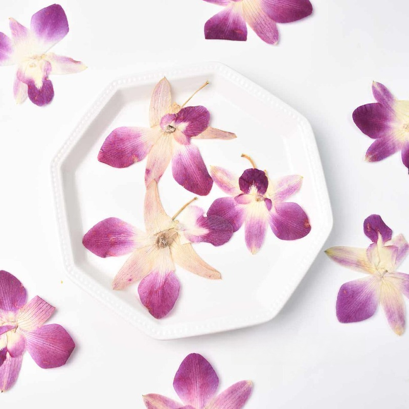 4 pièces, véritables fleurs d' - Photo Frame Baby avis et prix