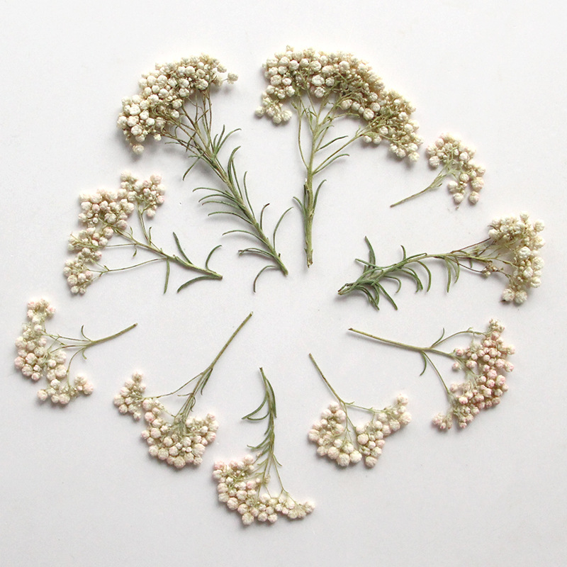 12 pièces, Branches de fleurs  - Photo Frame Baby avis et prix