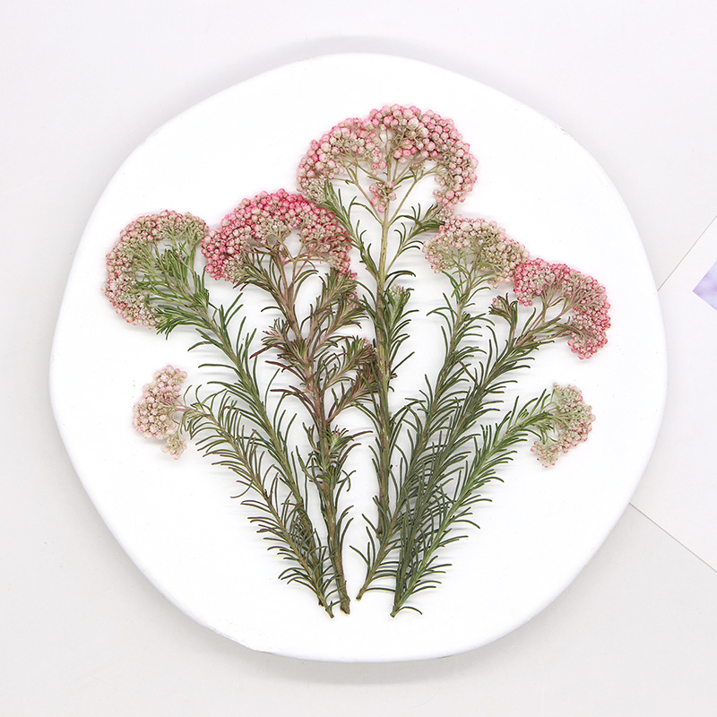 12 pièces, Branches de fleurs  - Photo Frame Baby avis et prix